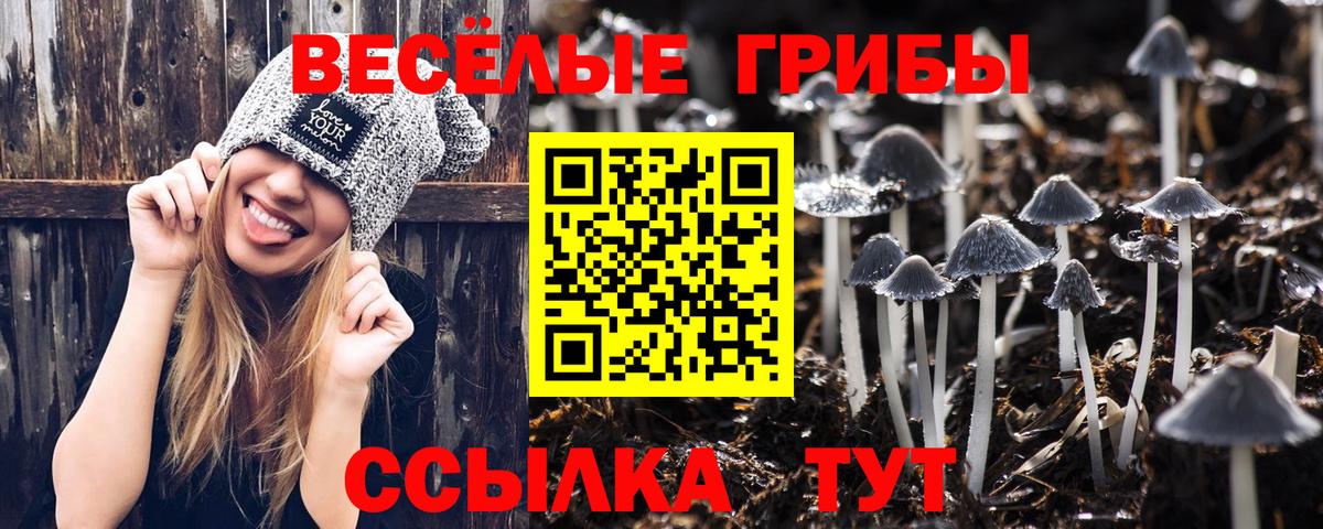 Гусев  Псилоцибиновые грибы мухоморы  Вход с VPN  Псилоцибиновые грибы Cubensis 