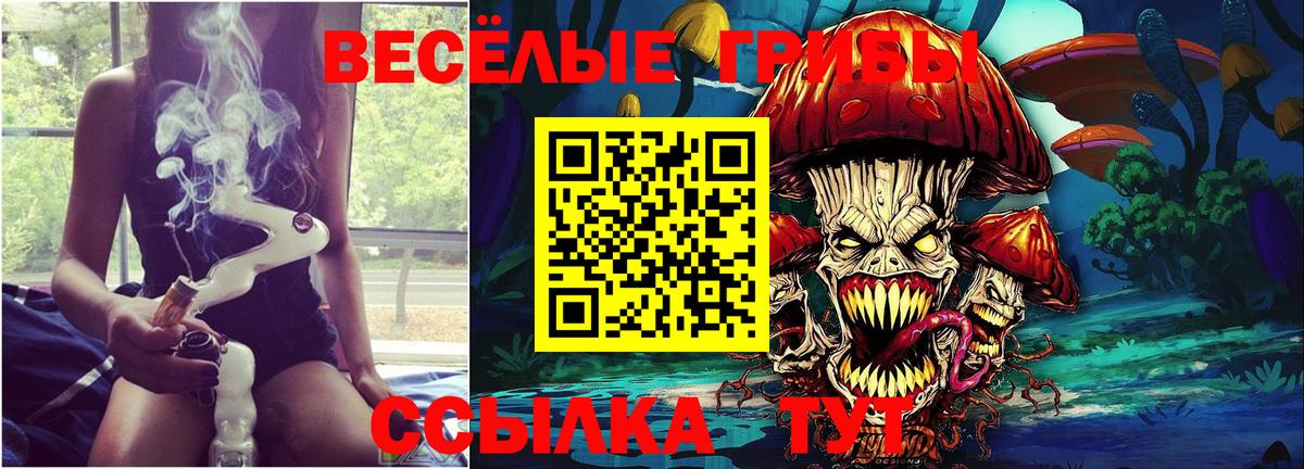 Псилоцибиновые грибы ЛСД Гусев